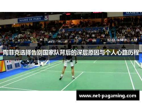 陶菲克选择告别国家队背后的深层原因与个人心路历程 陶菲克选择告别国家队背后的深层原因与个人心路历程
