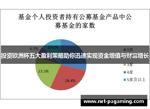 投资欧洲杯五大盈利策略助你迅速实现资金增值与财富增长