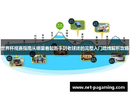 世界杯观赛指南从哪里看起新手到老球迷的完整入门路线解析攻略