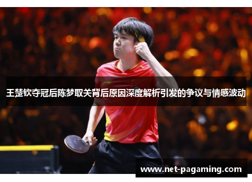 王楚钦夺冠后陈梦取关背后原因深度解析引发的争议与情感波动