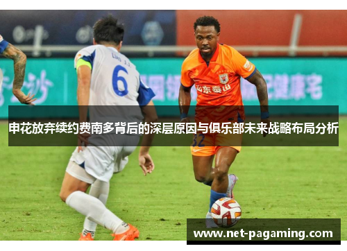 申花放弃续约费南多背后的深层原因与俱乐部未来战略布局分析 申花放弃续约费南多背后的深层原因与俱乐部未来战略布局分析