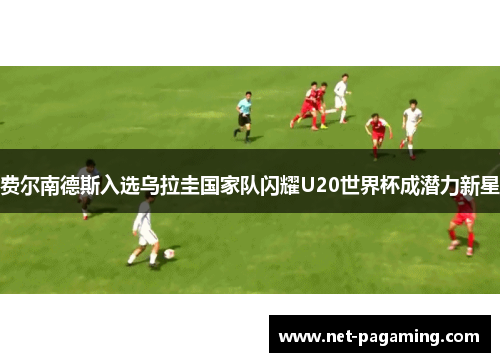 费尔南德斯入选乌拉圭国家队闪耀U20世界杯成潜力新星 费尔南德斯入选乌拉圭国家队闪耀U20世界杯成潜力新星