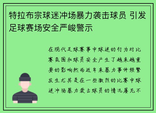 特拉布宗球迷冲场暴力袭击球员 引发足球赛场安全严峻警示